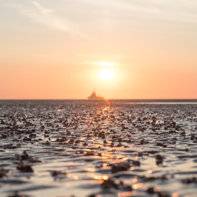Sunset over the mudflats, with a ship on the horizon