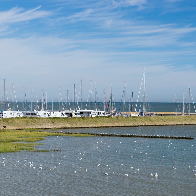 Carado motorhomes on a pitch by the marina, with sailboats, water and seagulls