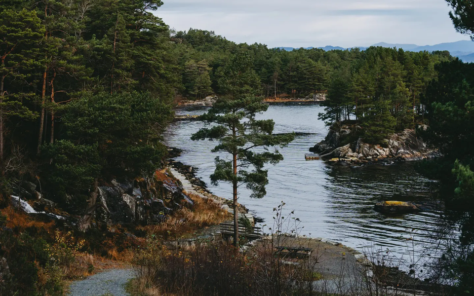 Udsigt over en smuk sø, søen er omgivet af skov
