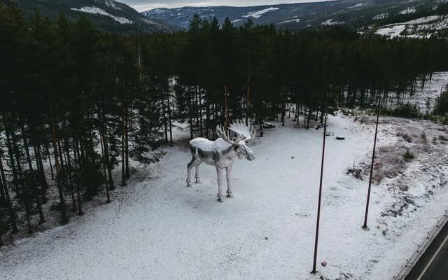 Luftudsigt over en stor elgstatue, bjerge og skov i baggrunden