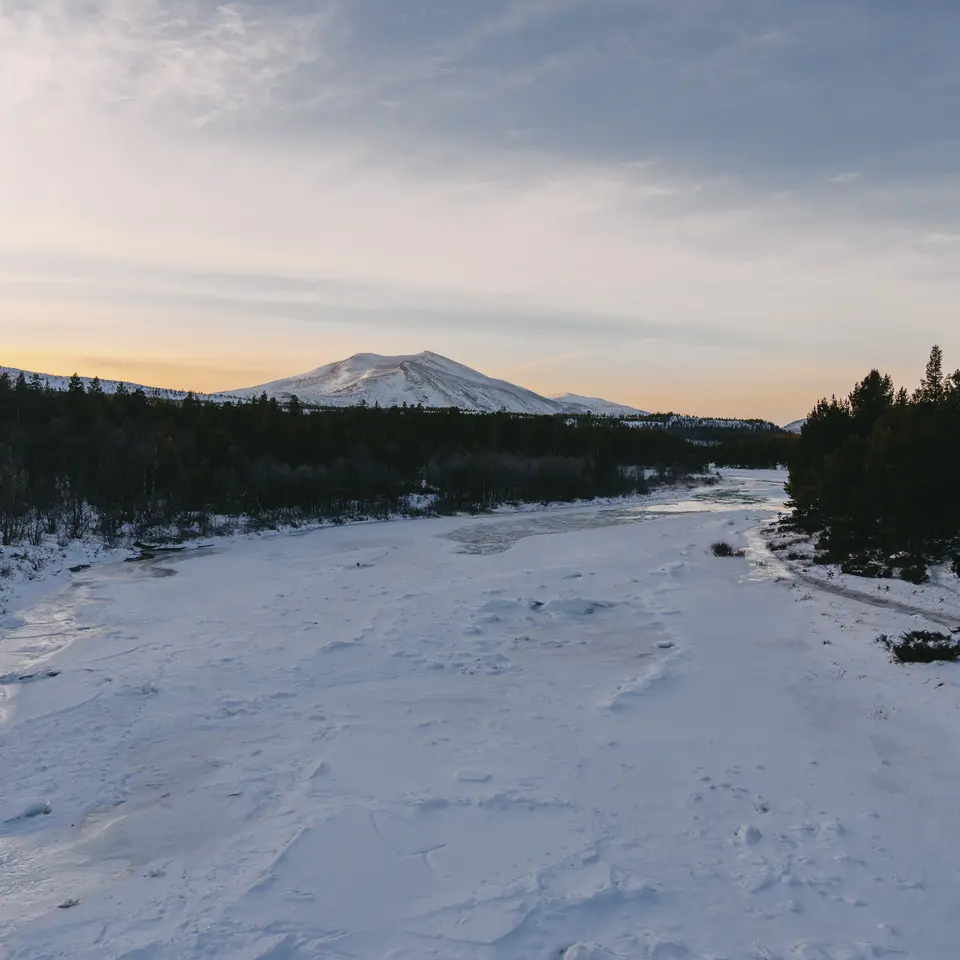Route enneigée, arbres à gauche et à droite, une grande montagne en arrière-plan