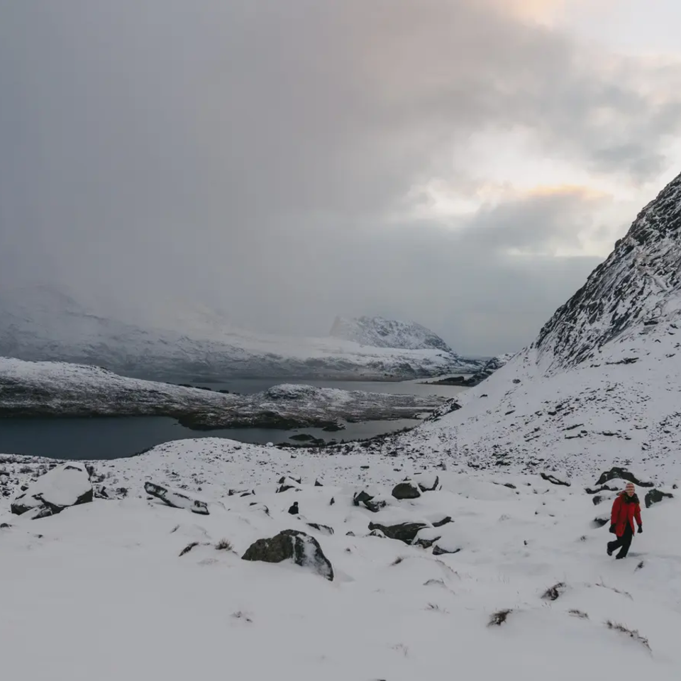 Sneklædte bjerge, fjord i baggrunden