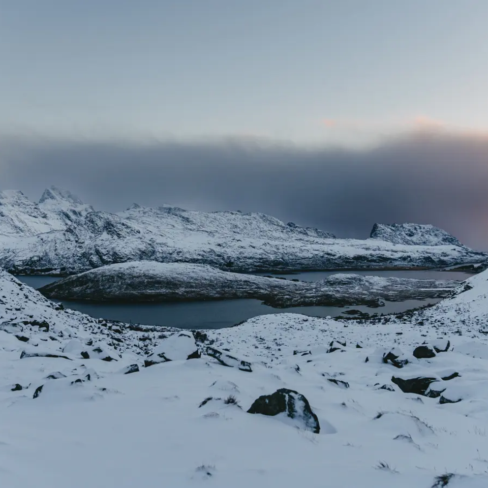 Sneklædte bjerge, fjord i baggrunden