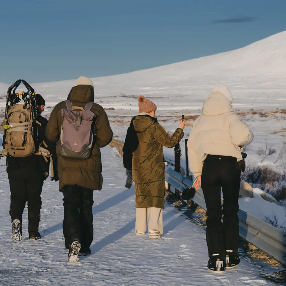 4 personer vandrer gennem vinterlandskabet